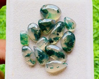 Moss Agate Gemstone Cabochon With Flat Back 12 Pieces Gemstone Lot | Size : 17-7 MM | AAA+ Natural Moss Agate For Handmade Jewelry - 28465