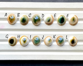 NEW AUSTRALIAN Shell Cabochon Loose Gemstone For Jewelry Making, AAA+ Natural Australian Shell Gemstone For Wire Wrap - 32951-32962