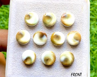 Australian Sea Shell 10 MM Round Shape Calibrated Smooth Cabochon With Flat Back Gemstone 10 Pieces Lot For Handmade Jewelry Making