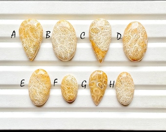 Beautiful Fossil Coral Cabochon Loose Gemstone For Jewelry Making, AAA+ Natural Fossil Coral Gemstone Cabochon For Wire Wrap - 28094-28101