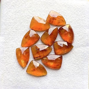 May include: A collection of ten faceted, shield-shaped orange gemstones. Each stone features a polished surface with geometric cuts that reflect light, displaying varying shades of amber and burnt orange throughout the translucent material.