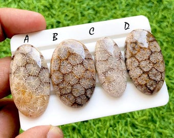 Desert Matrix Fossil Coral Loose Cabochon For Wire Wrap, AAA+ Natural Geometric Flower Grid Gemstone For Jewelry Makings - 35975-35978