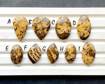 NEW Orbicular Jasper Cabochon Loose Gemstone For Jewelry Making, AAA+ Natural Orbicular Jasper Gemstone Cabochon For Wire Wrap - 30585-30593