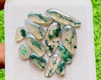 Moss Agate Gemstone Cabochon With Flat Back 12 Pieces Gemstone Lot | Size : 25-9 MM | AAA+ Natural Moss Agate For Handmade Jewelry - 28467