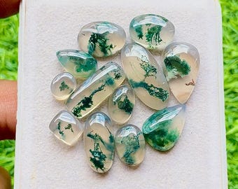 Moss Agate Gemstone Cabochon With Flat Back 12 Pieces Gemstone Lot | Size : 21-7 MM | AAA+ Natural Moss Agate For Handmade Jewelry - 28466