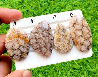 Desert Matrix Fossil Coral Loose Cabochon For Wire Wrap, AAA+ Natural Geometric Flower Grid Gemstone For Jewelry Makings - 35955-35958