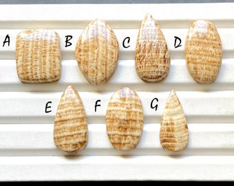 Selected Aragonite Cabochon Loose Gemstone For Jewelry Making, AAA+ Natural Aragonite Cabochon Gemstone For Wire Wrap - 33481-33487