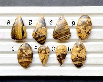 NEW Orbicular Jasper Cabochon Loose Gemstone For Jewelry Making, AAA+ Natural Orbicular Jasper Gemstone Cabochon For Wire Wrap - 30602-30609