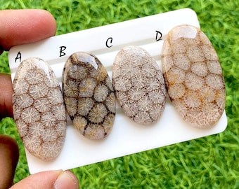 Desert Matrix Fossil Coral Loose Cabochon For Wire Wrap, AAA+ Natural Geometric Flower Grid Gemstone For Jewelry Makings - 35967-35970