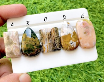 Wild Reef Ocean Jasper Cabochon Set, Rare Floral Pattern Ocean Jasper, Designer Jewelry Making Stones, Collector Gem Lot - 35466-35470