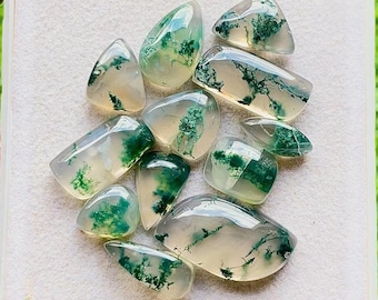 Top Selected Moss Agate Gemstone Smooth Cabochon 12 Pieces Lot Used For Handmade Jewelry - RARE Moss Agate Gemstone For Jewelry Making 28462