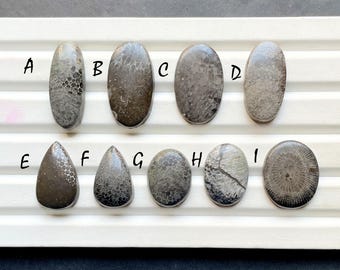Latest Black Fossil Coral Cabochon Loose Gemstone For Jewelry Making, Fossil Coral Gemstone For Handmade Jewelry And Wire Wrap - 30804-30812