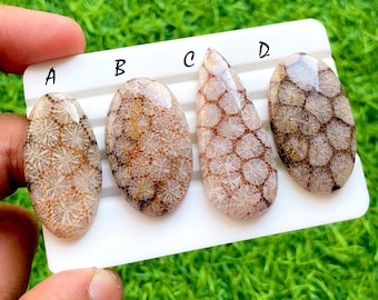Desert Matrix Fossil Coral Loose Cabochon For Wire Wrap, AAA+ Natural Geometric Flower Grid Gemstone For Jewelry Makings - 35963-35966
