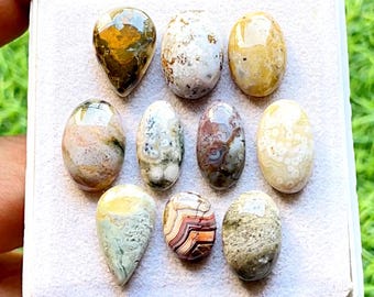 Selected Ocean Jasper Cabochon Loose Gemstone 10 Pcs Lot For Jewelry Making | Size : 18-12 MM | Natural Ocean Jasper Small Size Lot - 21656