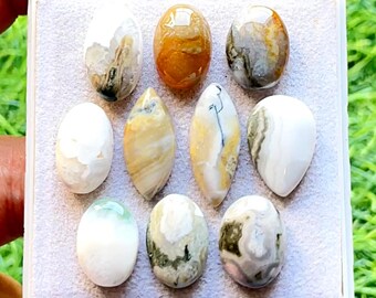 Selected Ocean Jasper Cabochon Loose Gemstone 10 Pcs Lot For Jewelry Making | Size : 22-15 MM | Natural Ocean Jasper Small Size Lot - 21660