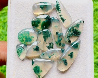 Moss Agate Gemstone Cabochon With Flat Back 12 Pieces Gemstone Lot | Size : 24-11 MM | AAA+ Natural Moss Agate For Handmade Jewelry - 28461