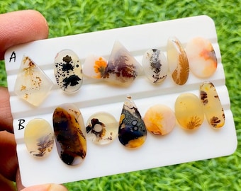 Scenic Agate Cabochon 7 Pieces Loose Gemstone Lot For Jewelry Making, AAA+ Natural Scenic Agate For Jewelry - 32069-32070