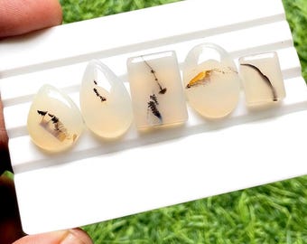 Scenic Agate Cabochon 5 Pieces Loose Gemstone Lot For Jewelry Making | Size : 22-14 MM | AAA+ Natural Scenic Agate For Jewelry - 32655