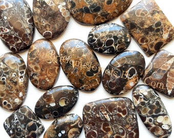 TURRITELLA Agate Cabochon Wholesale Lot By Weight With Different Shapes And Sizes Used For Jewelry Making