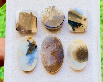 Scenic Agate Cabochon 6 Pieces Loose Gemstone Lot For Jewelry Making | Size : 21-13 MM | AAA+ Natural Scenic Agate For Jewelry - 29451