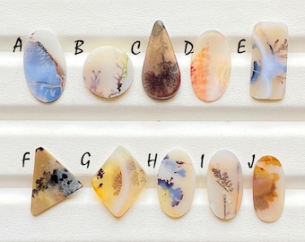 Selected Scenic Agate Cabochon Loose Gemstone For Jewelry Making, AAA+ Natural Scenic Agate Cabochon For Handmade Jewelry - 24681-24690