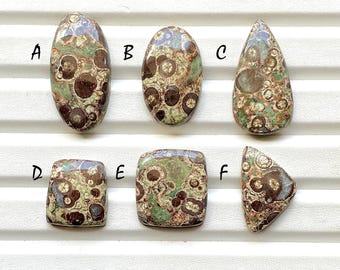 New Crocodile Jasper Cabochon Loose Gemstone For Jewelry Making, AAA+ Natural Crocodile Jasper Gemstone For Wire Wrap - 28930-28935