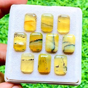 May include: A collection of ten rectangular, faceted yellow gemstones arranged in a white display box. Each stone features unique, dark, dendritic inclusions that create branching, tree-like patterns within the translucent, golden-hued material.