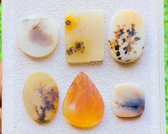 Scenic Agate Cabochon 6 Pieces Loose Gemstone Lot For Jewelry Making | Size : 19-12 MM | AAA+ Natural Scenic Agate For Jewelry - 29450