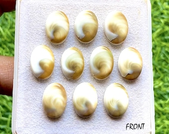 Australian Sea Shell 10x14 MM Oval Shape Calibrated Smooth Cabochon With Flat Back Gemstone 10 Pieces Lot For Handmade Jewelry Making