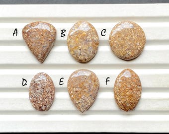 Turtella Fossil Cabochon Loose Gemstone For Jewelry Making, AAA+ Natural Turtella Fossil Gemstone For Wire Wrap - 30108-30113