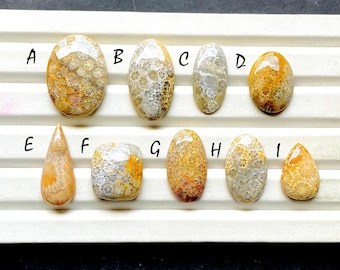 Beautiful Fossil Coral Cabochon Loose Gemstone For Jewelry Making, AAA+ Natural Fossil Coral Gemstone Cabochon For Wire Wrap - 33835-33843