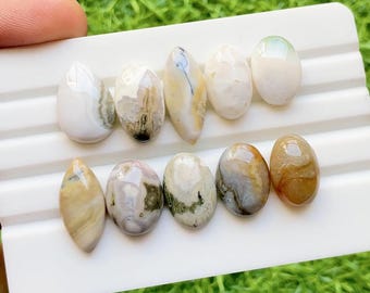 Ocean Jasper Cabochon Loose Gemstone 10 Pieces Lot For Jewelry Making | Size : 22-15 MM |  AAA+ Natural Ocean Jasper Small Size Lot - 30743