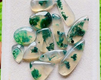 Top Selected Moss Agate Gemstone Smooth Cabochon 12 Pieces Lot Used For Handmade Jewelry - RARE Moss Agate Gemstone For Jewelry Making 28461