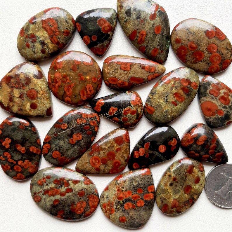 May include: A collection of polished gemstones with a mix of shapes, including ovals and teardrops. The stones feature a mottled pattern of red, black, and tan colors, with a coin for size reference. The gemstones are displayed on a white surface.