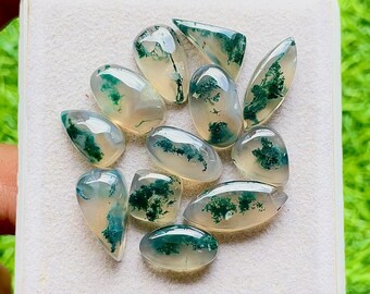 Moss Agate Gemstone Cabochon With Flat Back 12 Pieces Gemstone Lot | Size : 19-9 MM | AAA+ Natural Moss Agate For Handmade Jewelry - 28458