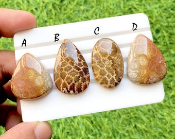 Golden Reef Fossil Coral Cabochon For Jewelry, Natural Flower Pattern Coral Gemstones, Ocean Inspired Designer Jewelry Stones - 35570-35573