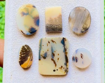 Scenic Agate Cabochon 6 Pieces Loose Gemstone Lot For Jewelry Making | Size : 22-11 MM | AAA+ Natural Scenic Agate For Jewelry - 29448