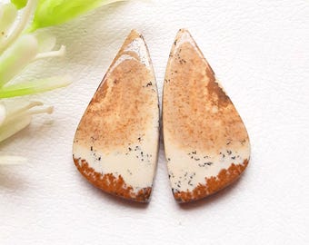 Natural Picture Jasper Pair Cabochon Loose Gemstone Handmade Jewelry, AAA+ Picture Jasper Pair Gemstone For Earrings Making - 21727-21730