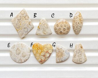Beautiful Fossil Coral Cabochon Loose Gemstone For Jewelry Making, AAA+ Natural Fossil Coral Gemstone Cabochon For Wire Wrap - 24610-24617
