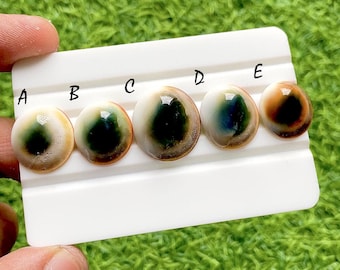 Natural Australian Shell Cabochon Loose Gemstone For Jewelry Making, Ocean Inspired Pearl Gemstone, Round Jewelry Stone Single - 37806-37810