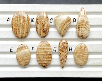 Selected Aragonite Cabochon Loose Gemstone For Jewelry Making, AAA+ Natural Aragonite Cabochon Gemstone For Wire Wrap - 28942-28949