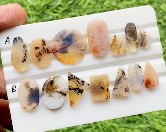 Scenic Agate Cabochon 7 Pieces Loose Gemstone Lot For Jewelry Making, AAA+ Natural Scenic Agate For Jewelry - 32075-32076