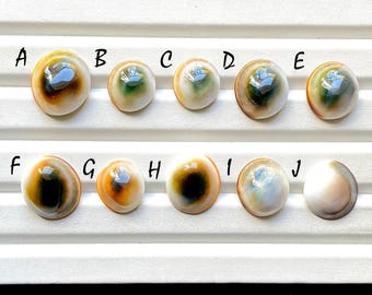 NEW AUSTRALIAN Shell Cabochon Loose Gemstone For Jewelry Making, AAA+ Natural Australian Shell Gemstone For Wire Wrap - 32931-32940