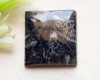 ORTHOCERAS FOSSIL Cabochon Loose Gemstone For Jewelry Making, AAA+ Natural Orthoceras Fossil Gemstone Cabochon For Wire Wrap - 25427-25430