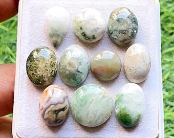 Selected Ocean Jasper Cabochon Loose Gemstone 10 Pcs Lot For Jewelry Making | Size : 17-13 MM | Natural Ocean Jasper Small Size Lot - 21665