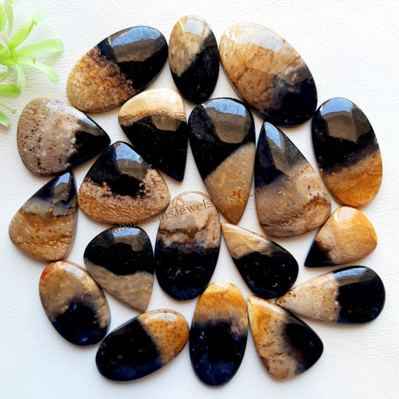 PALM ROOT AGATE Cabochon Wholesale Lot, Top Quality Natural Palm Root By Weight With Different Shapes And Sizes Used For Jewelry Making