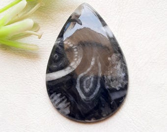 ORTHOCERAS FOSSIL Cabochon Loose Gemstone For Jewelry Making, AAA+ Natural Orthoceras Fossil Gemstone Cabochon For Wire Wrap - 25431-25434