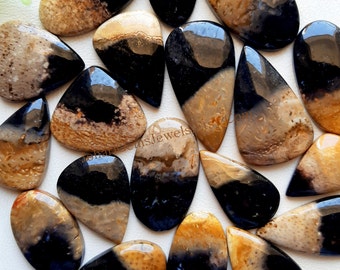 New PALM ROOT AGATE Cabochon Wholesale Lot, Top Quality Natural Palm Root By Weight With Different Shapes And Sizes Used For Jewelry Making