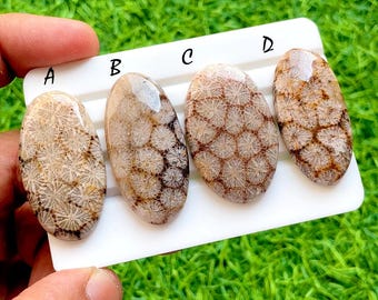 Desert Matrix Fossil Coral Loose Cabochon For Wire Wrap, AAA+ Natural Geometric Flower Grid Gemstone For Jewelry Makings - 35959-35962
