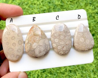 Golden Reef Fossil Coral Cabochon For Jewelry, Natural Flower Pattern Coral Gemstones, Ocean Inspired Designer Jewelry Stones - 35558-35561